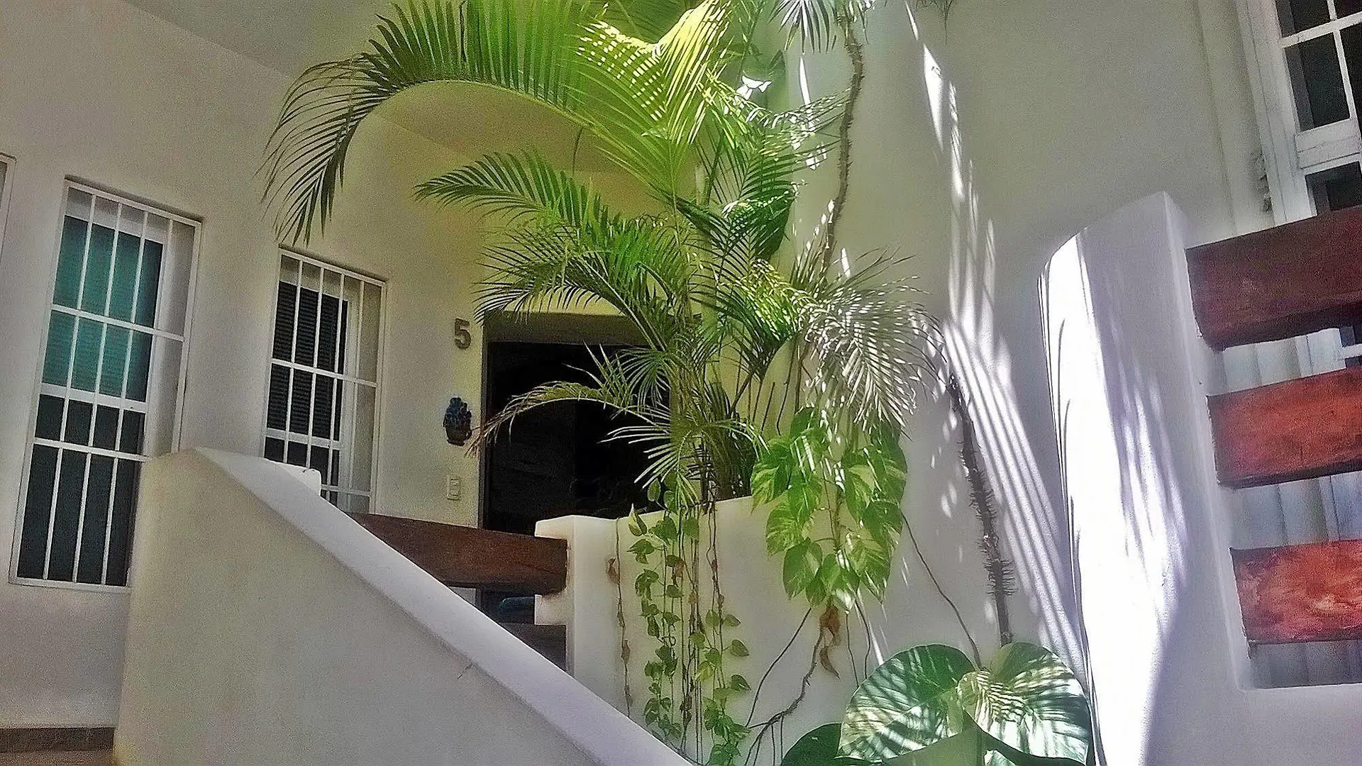 B&B Adelina Playa del Carmen México