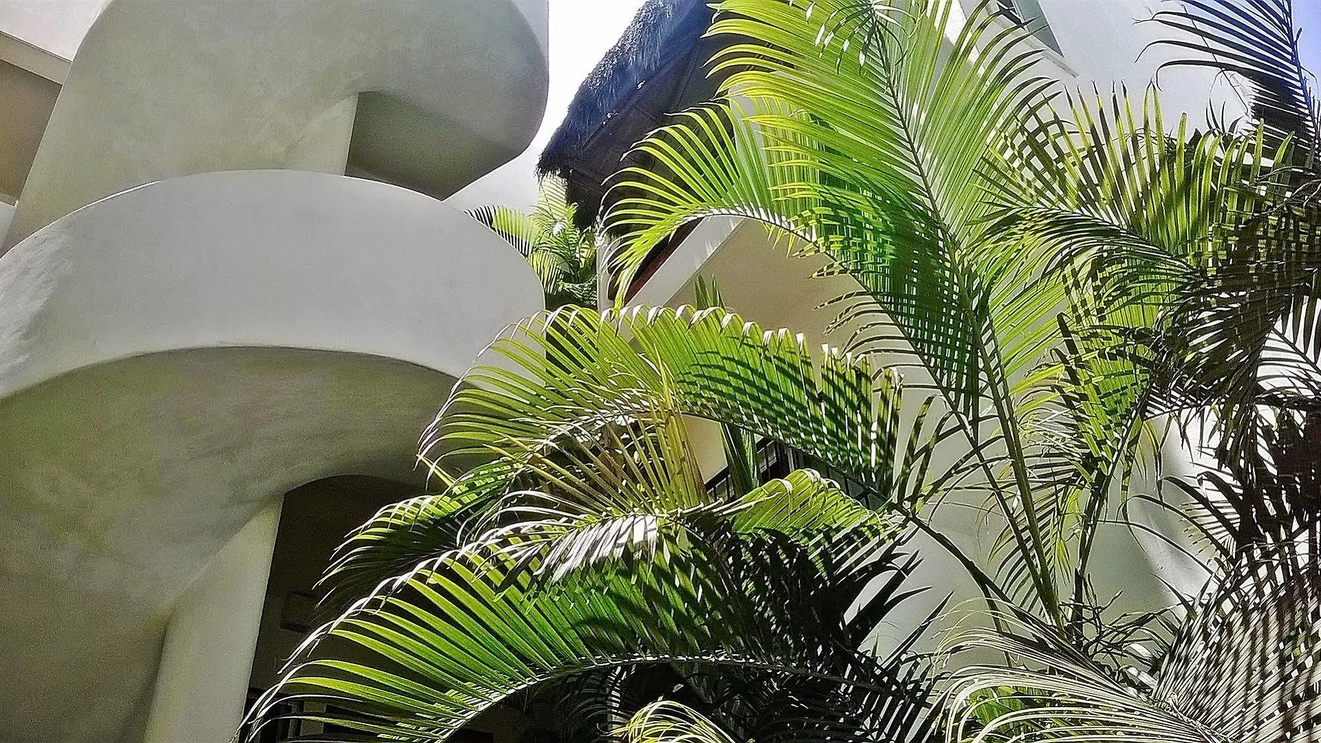 *** Bed & Breakfast B&B Adelina Playa del Carmen Mexiko